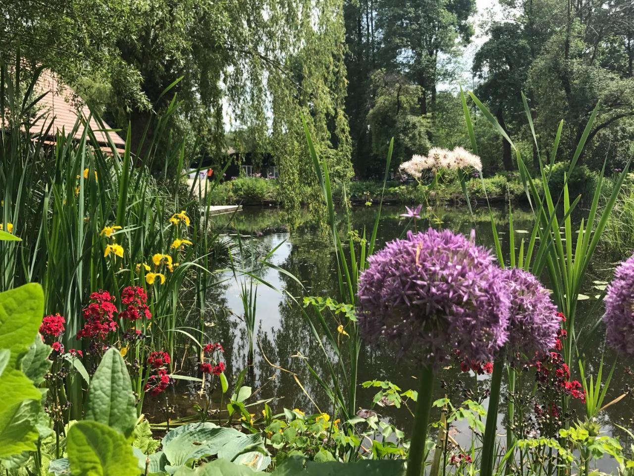 Direkt Am Wasser Appartement Burg (Spreewald)